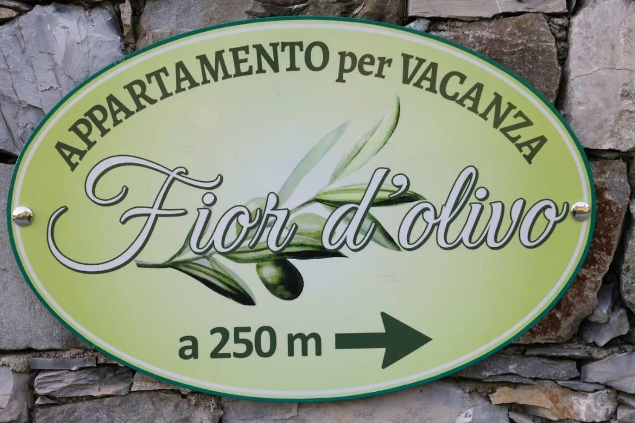 Apartment Fior D'Olivo: Private Villa with Pool Near Sestri Levante Center and Beaches Santo Stefano del Ponte